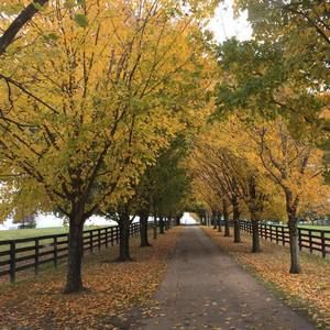 Meet your Posher, Logan